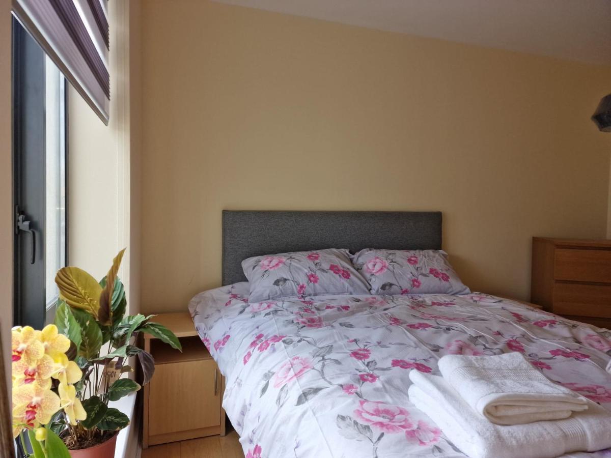 דבלין Clearwater Apartment מראה חיצוני תמונה